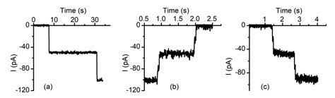 Lysenin Channels as Sensors for Ions and Molecules