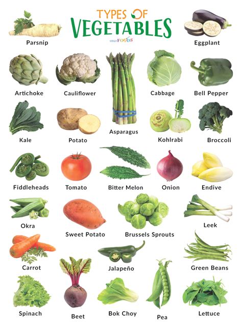Image result for Vegetables Examples