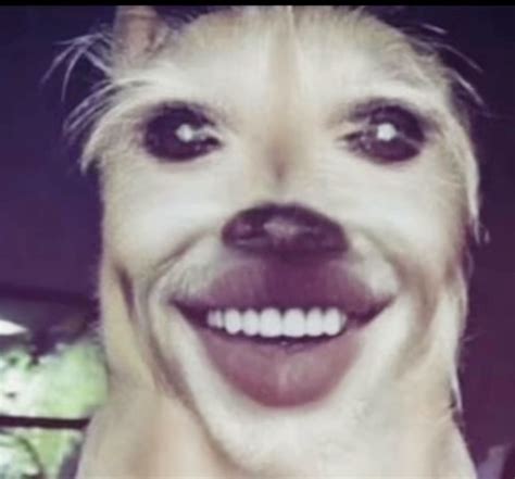 Pin by abby *:･ﾟ on brain rot | Funny reaction pictures, Funny images ...