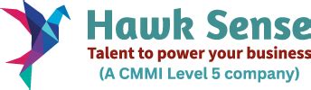 Hawk Sense Business Solutions Pvt Ltd.