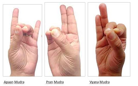 Pushan Mudra: Helps manage gastric ailments