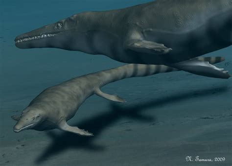 Image result for Mosasaurus