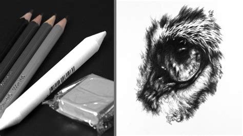 Free Sketching Tutorials Graphite 的图像结果