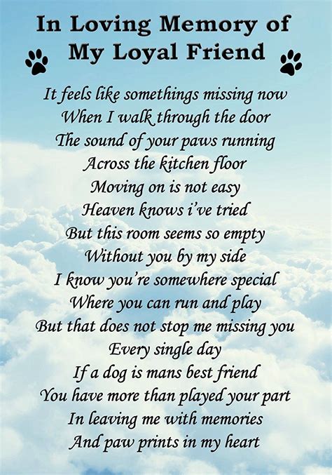 Pet Loss Poems For Dogs