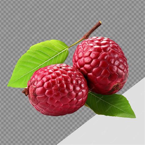 Premium PSD | Red custard apple with leaves png isolated on transparent ...