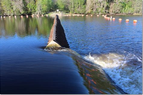 Panasoffkee/Wysong/Withlacoochee Update - 5/22/2018