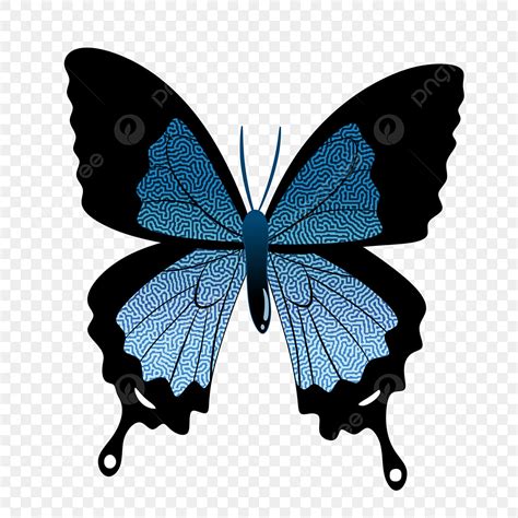 Butterfly Illustration PNG Image, Blue Black Butterfly Illustration ...
