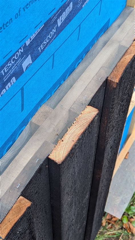 Image result for Cladding Insect Mesh