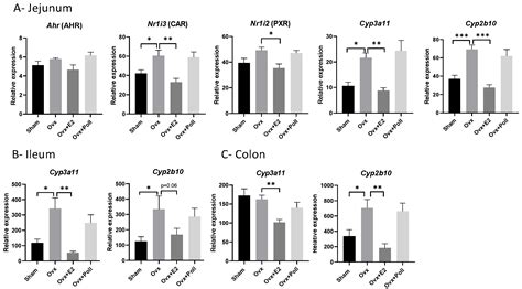 Impact of Estrogen Withdrawal and Replacement in Female Mice along the ...