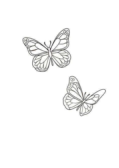 Outline Pictures Of Butterfly