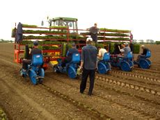 Image result for Ferrari Transplanter