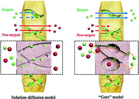 Image result for Diffusion Layer Model for Solid Solution Phase