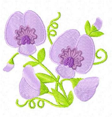 Sweet Pea Flowers Machine Embroidery Design Pes Hus Jef | Etsy