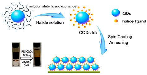 PbS Colloidal Quantum Dots: Ligand Exchange in Solution