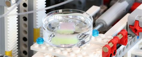 Image result for Science Rock Body Machine