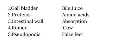 Image result for Class 7 DAV Science