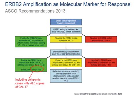 The Her-2/Neu (Erbb2) Oncogene In Breast Cancer: Prognostic Factor ...