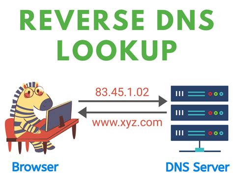 ¿Qué es DNS y para qué sirve? | AyudaLey Datos