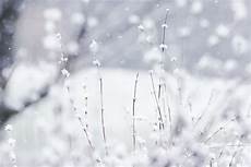 White Winter Background by Winter Snow Backgrounds Pixelstalk Net White Winter Background