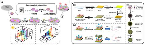 Overview of the Design and Application of Dual-Signal Immunoassays
