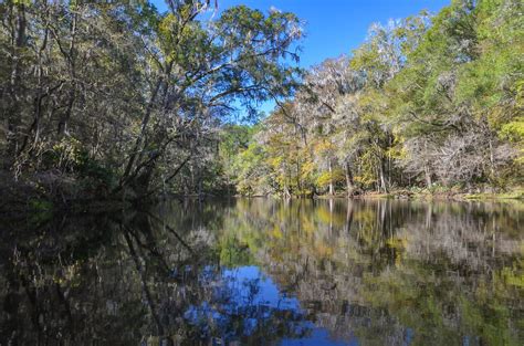 The Santa Fe River – Fall at River Rise | Florida Paddle Notes