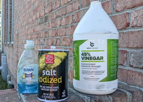 Vinegar Weed Killer Recipe-just the facts · Nourish and Nestle