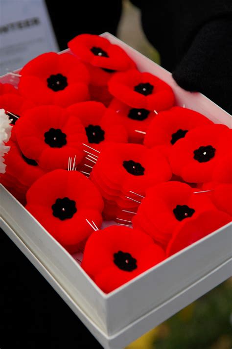 Memorial Day Poppies - History of the Memorial Day Poppy Flower Symbol