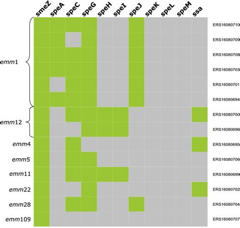 Epidemiological changes in invasive Streptococcus pyogenes infection ...