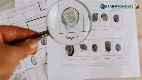 How to Become a Police Identification and Records Officer - Career ...