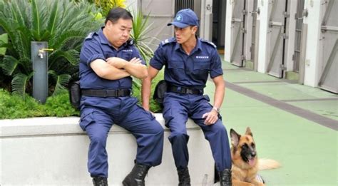 功勋警犬参演热播剧，讲述我国首支女子训导警犬队的故事_中国政库_澎湃新闻-The Paper