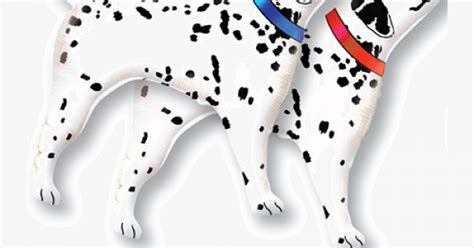Oblik dalmatian