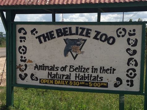 BELIZE ROUTES & ROOTS TOURS - All You Need to Know BEFORE You Go 2026 ...