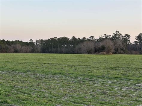 92.9 Acres of Land for Sale in Loris, South Carolina - LandSearch