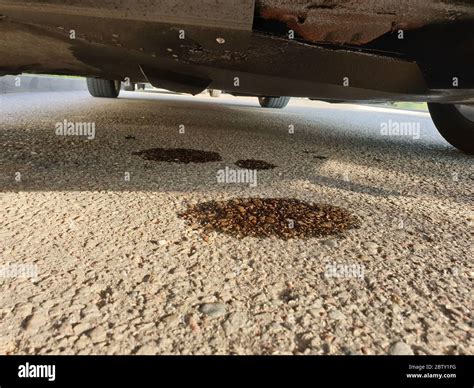 Petroleum leak damage hi-res stock photography and images - Alamy