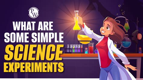 Simple Experiments 的图像结果