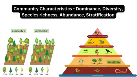 Ecology - Biology Notes Online