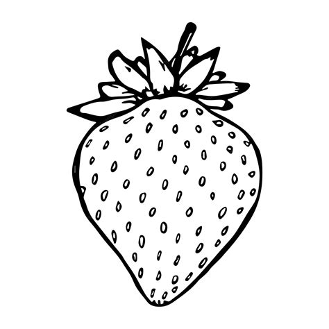 Strawberry Clip Art Black And White