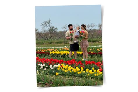 Top 7 Tulip Farms in Texas | Texas Heritage for Living