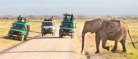 Classic Kenya | Mercury Travels