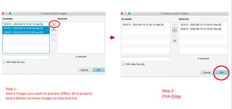 QuPath Tutorial 的图像结果