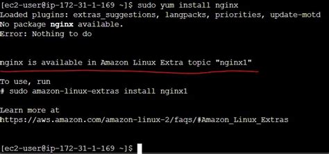 Image result for Nginx Amazon Linux 2