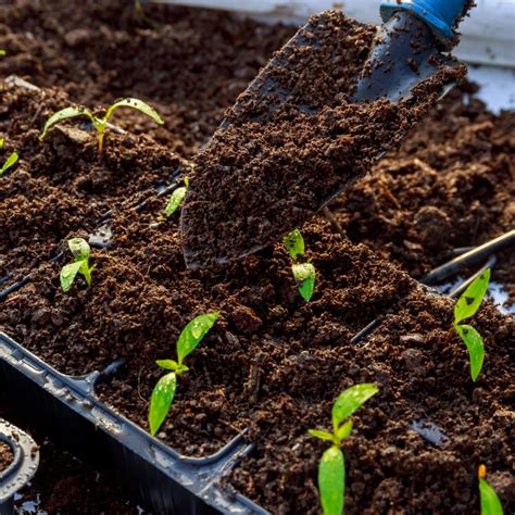 How To Make Homemade Seed Starting Soil - Create Perfect Soil!