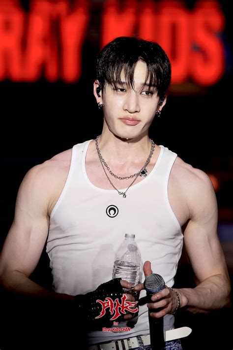 Bang Chan | Hot korean guys, Stray kids chan, Bangchan skz hot