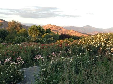 Woodlake Tourism (2024): Best of Woodlake, CA - Tripadvisor