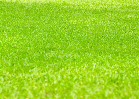 Liquid Lawn Fertilizers - Lawn Rules Australia