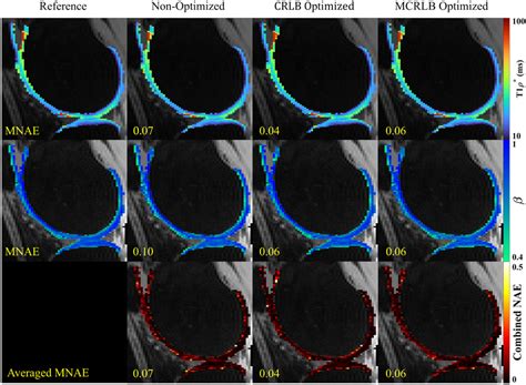 Image result for Stretch Exponential Function