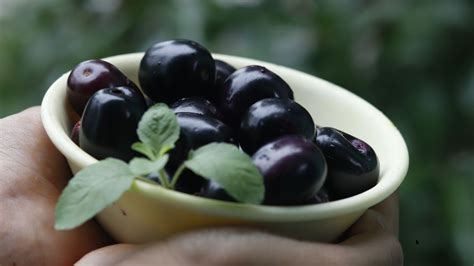 What is Jamun Called in English?