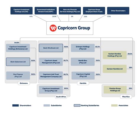 Group Structure | Capricorn Group