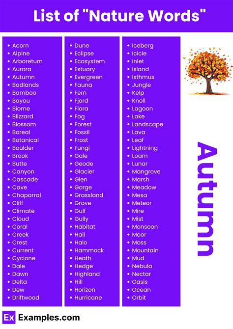 450+ Nature Words List, Meaning, PDF