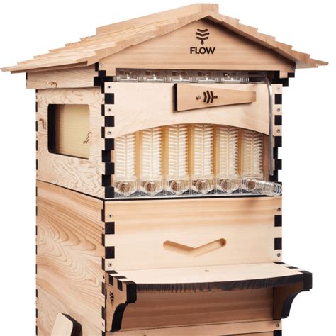 Image result for Flow Hive eBay